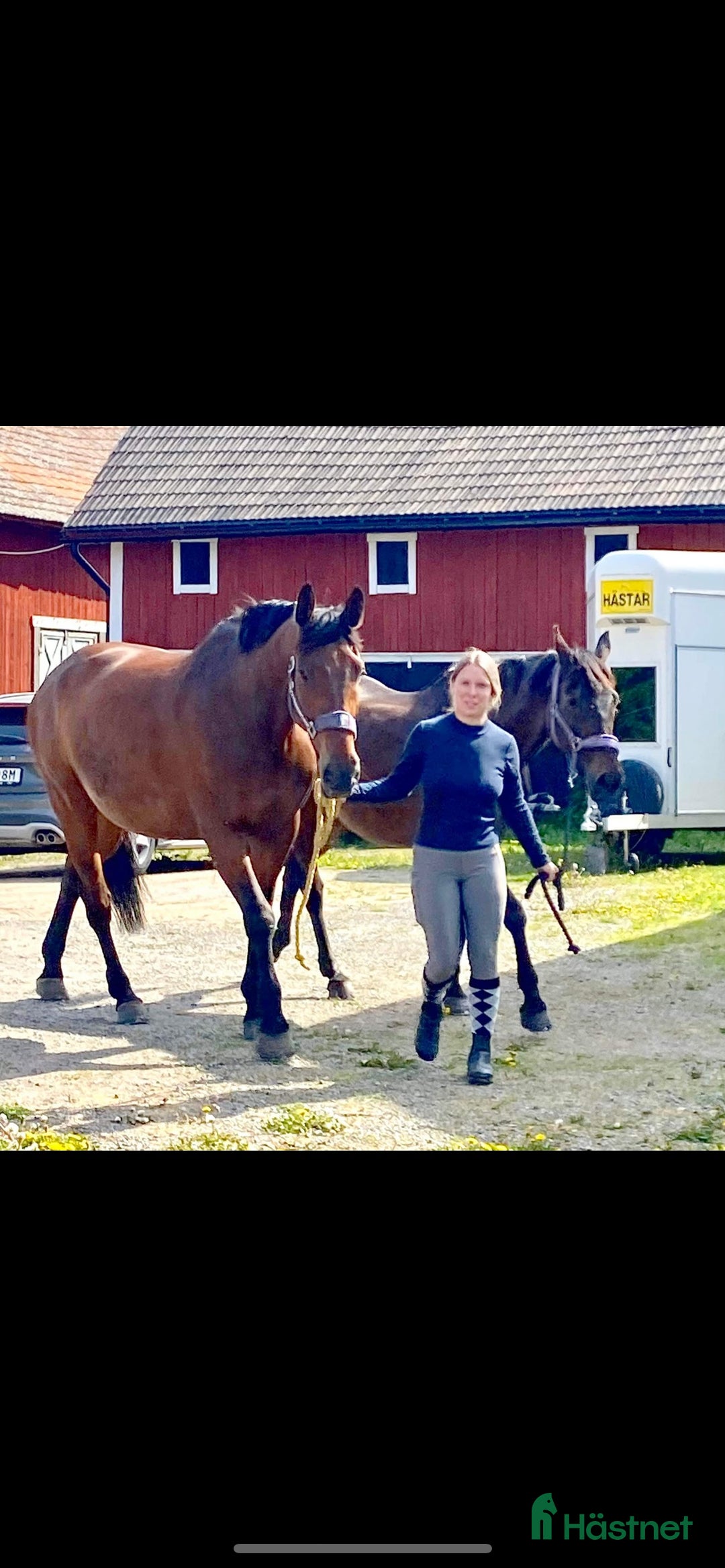  medryttarhäst sökes: Medryttarhäst sökes  i Täby - Annons 2