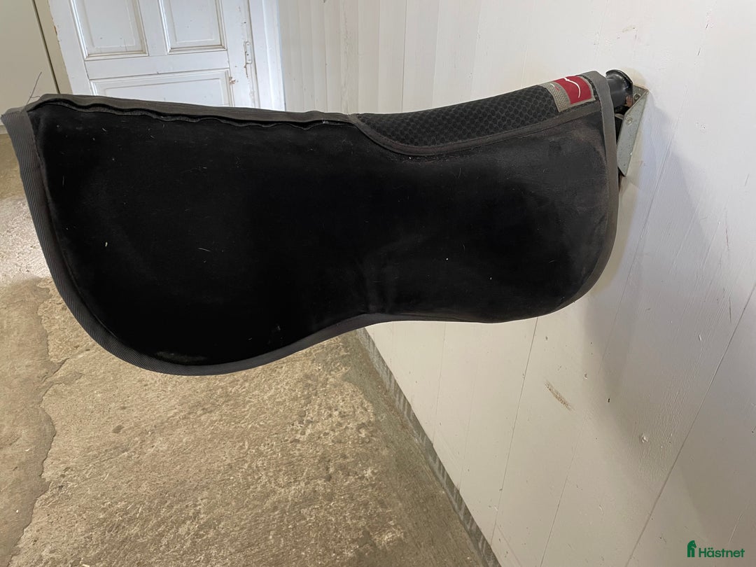 Schabrak & Vojlockar hästutrustning till salu: Animo Foam Pad i Enköping - Annons 3