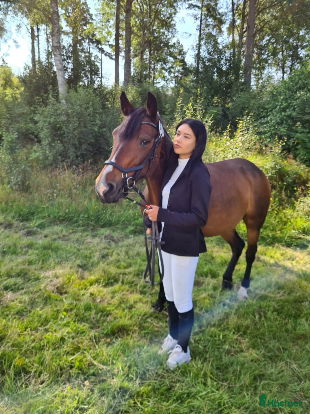 Allround hästar till salu: Mor/dotter häst i Nässjö - Annons 2