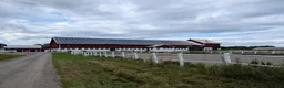  stallplats finnes: Lösdrift med fullservice - Annons 1