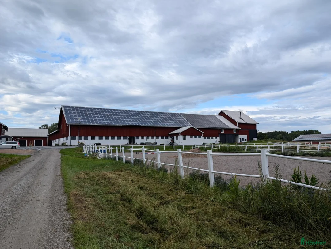  stallplats finnes: Lösdrift med fullservice - Annons 1