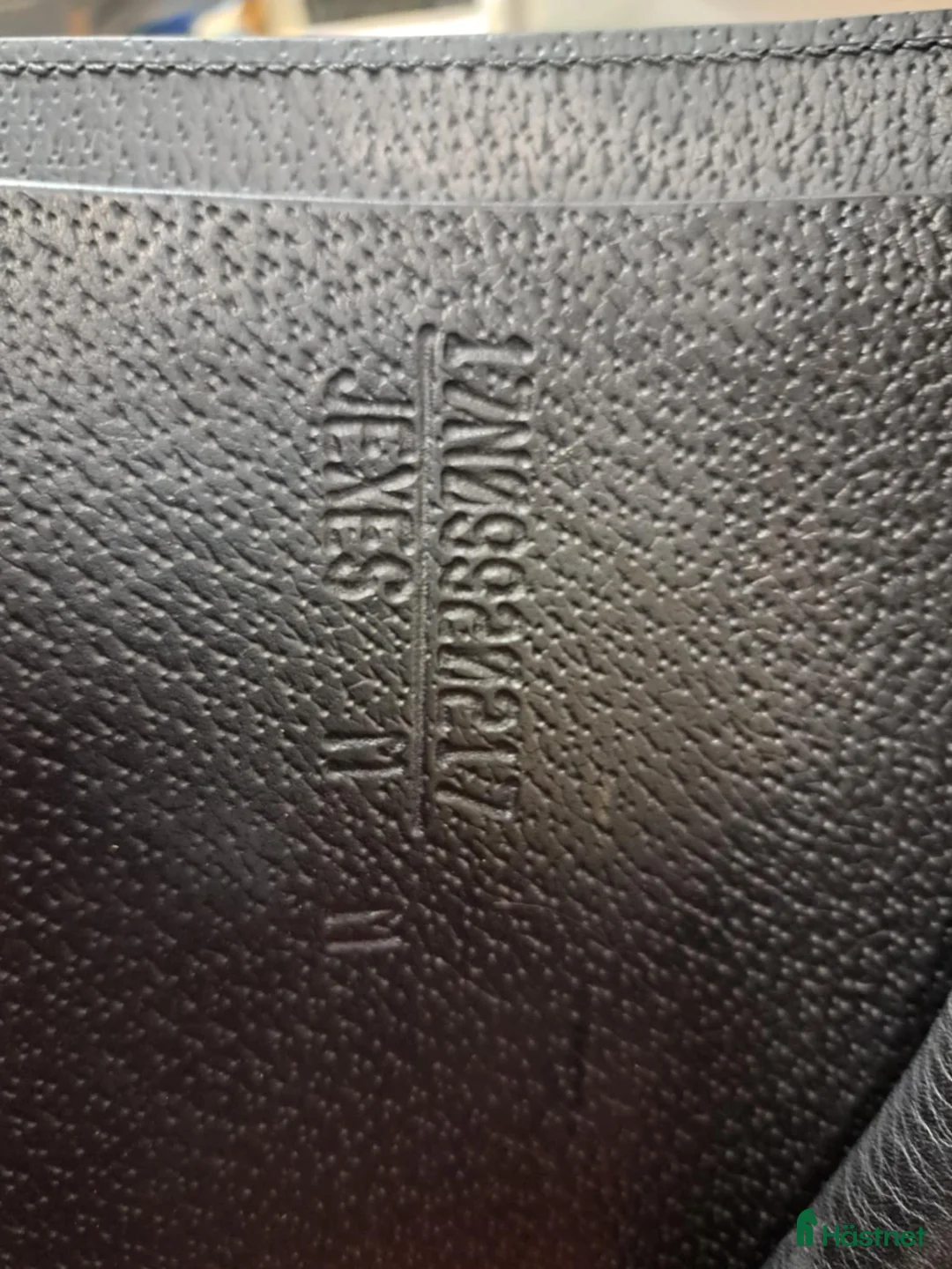 Sadlar hästutrustning till salu: Equipe Expression i Färnäs - Annons 3