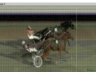 hästar Söker travhäst - Annons 11