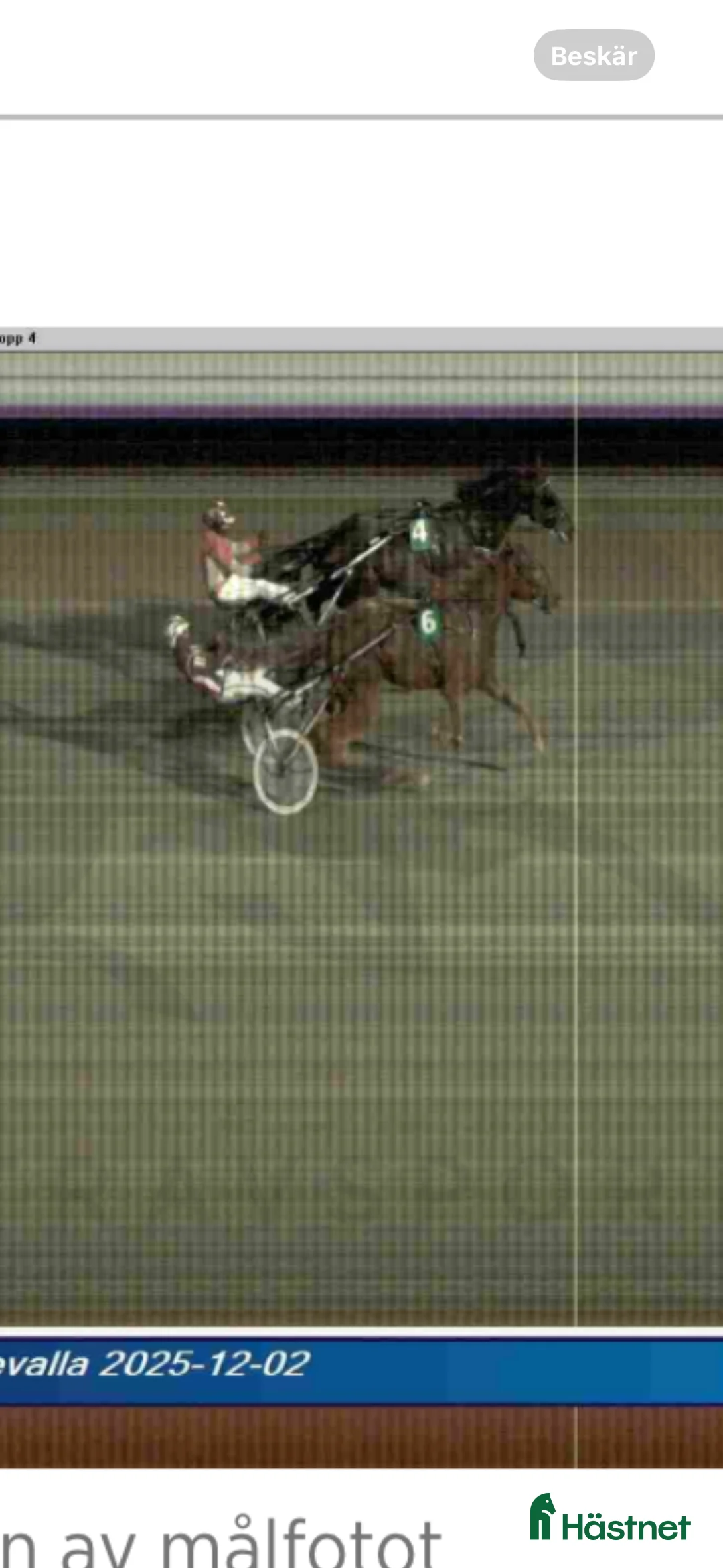 Trav hästar sökes: Söker travhäst  - Annons 1