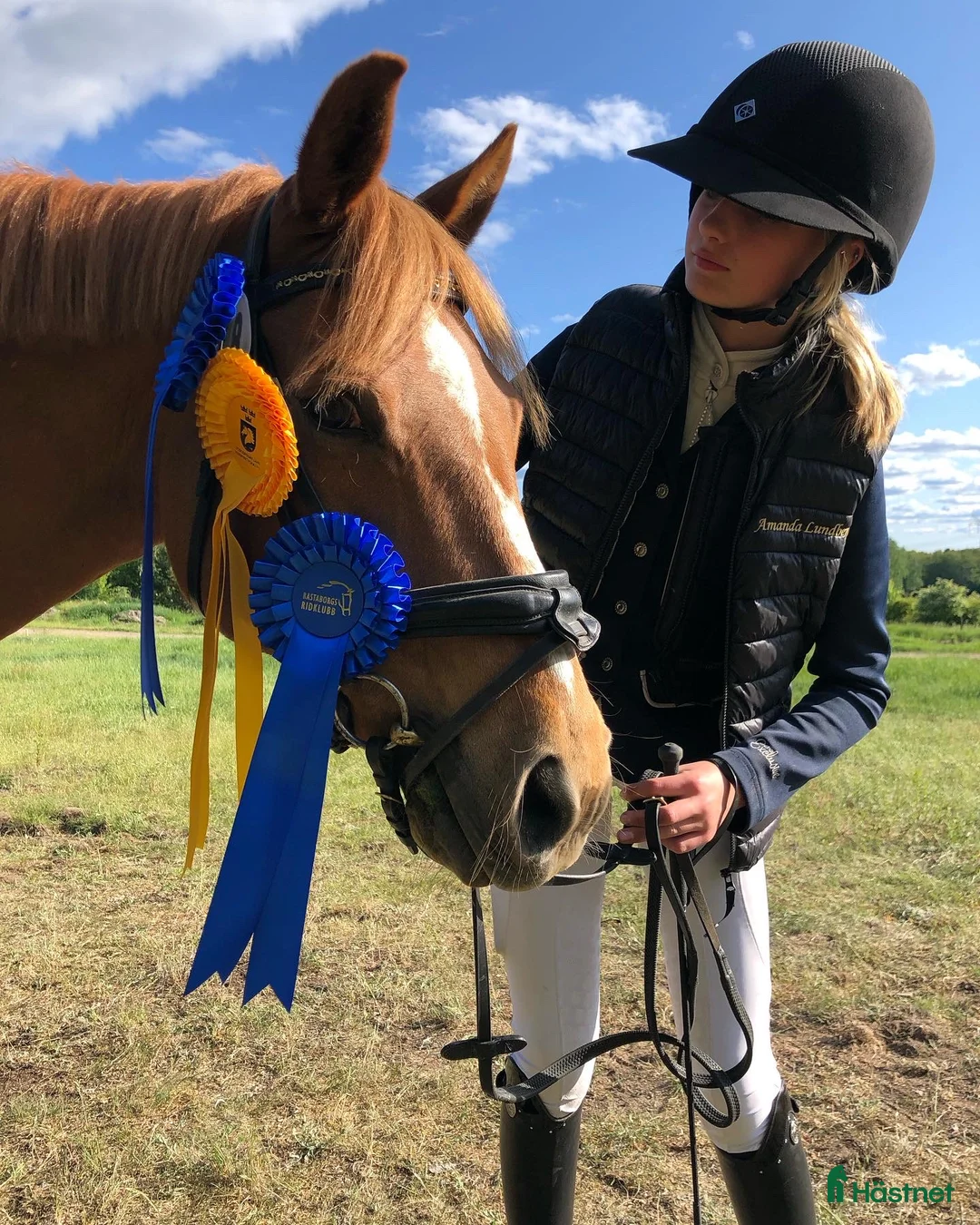 Allround hästar till salu: Guldponny till salu i Vällingby - Annons 2