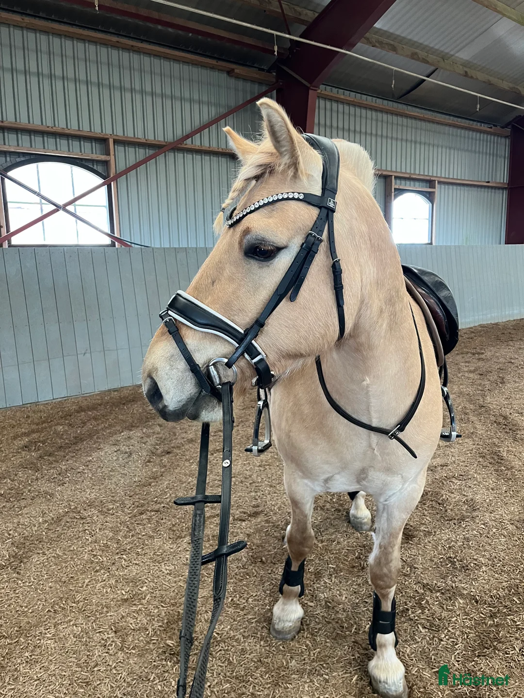 Träns hästutrustning till salu: Fint dressyrträns - Annons 2