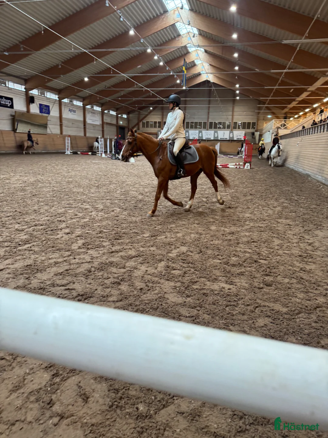  foderhäst sökes: Söker foderhäst🥰 i Täby - Annons 2