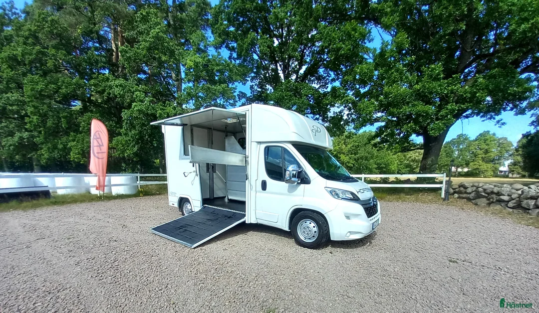 Hästlastbilar  fordon & transport till salu: Dickenherr 2-Ride Stuteri-Light i Haverdal - Annons 1