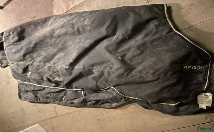 Täcken hästutrustning till salu i Uppsala - Annons 17
