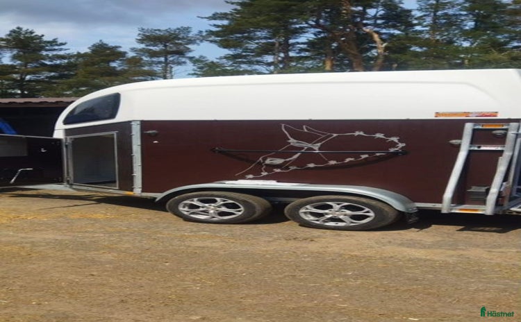 Hästlastbilar  fordon & transport till salu: Hästtransport i Rosersberg - Annons 12