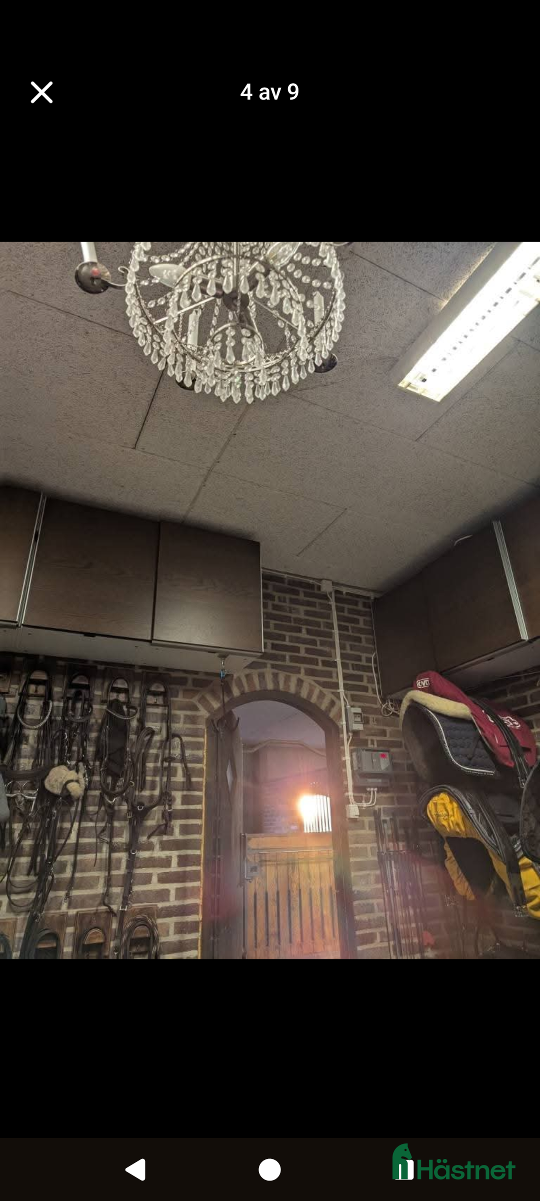  stallplats finnes: Stallplats Bjärehalvön Båstad  i Båstad - Annons 6