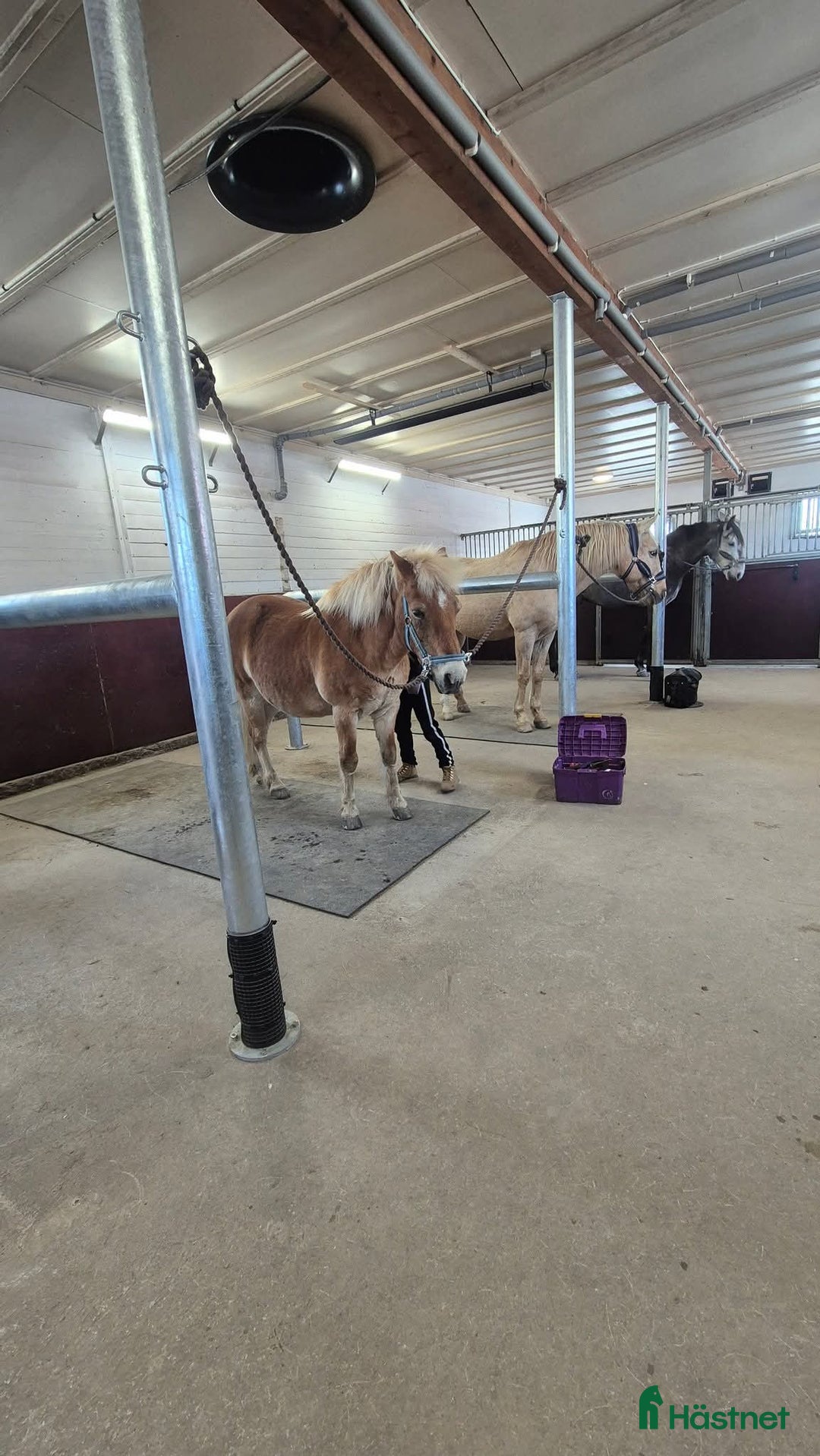  stallplats finnes: Active stable Haninge södra Stockholm  i Österhaninge - Annons 5