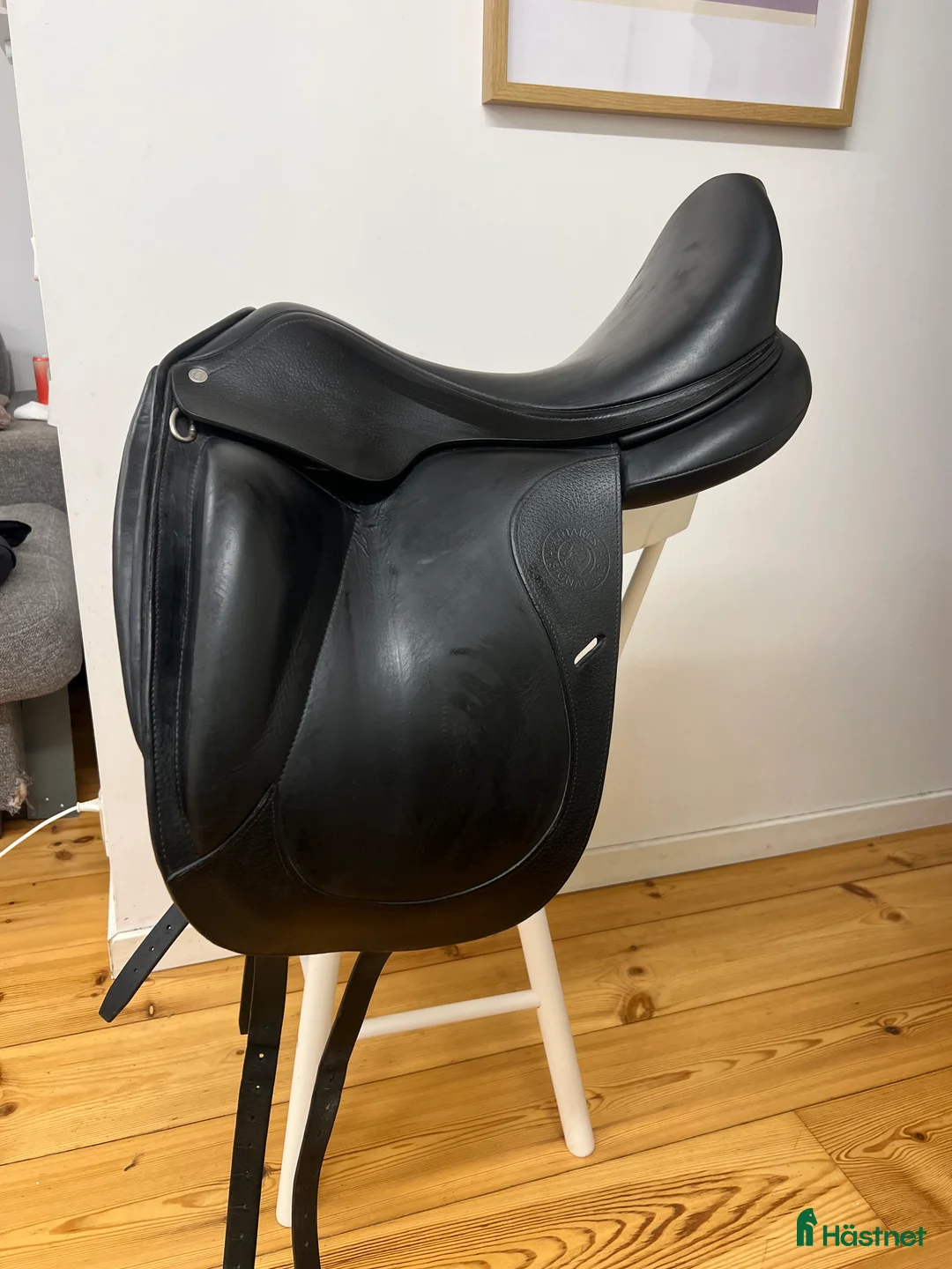 Sadlar hästutrustning till salu: Antarés signature i Enköping - Annons 3