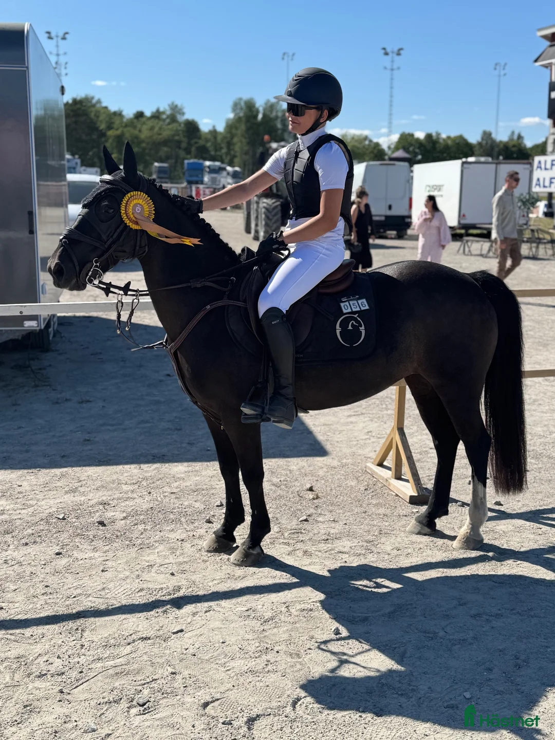 Hoppning hästar till salu: Brons lätt A sm 2026🥉 - Annons 2
