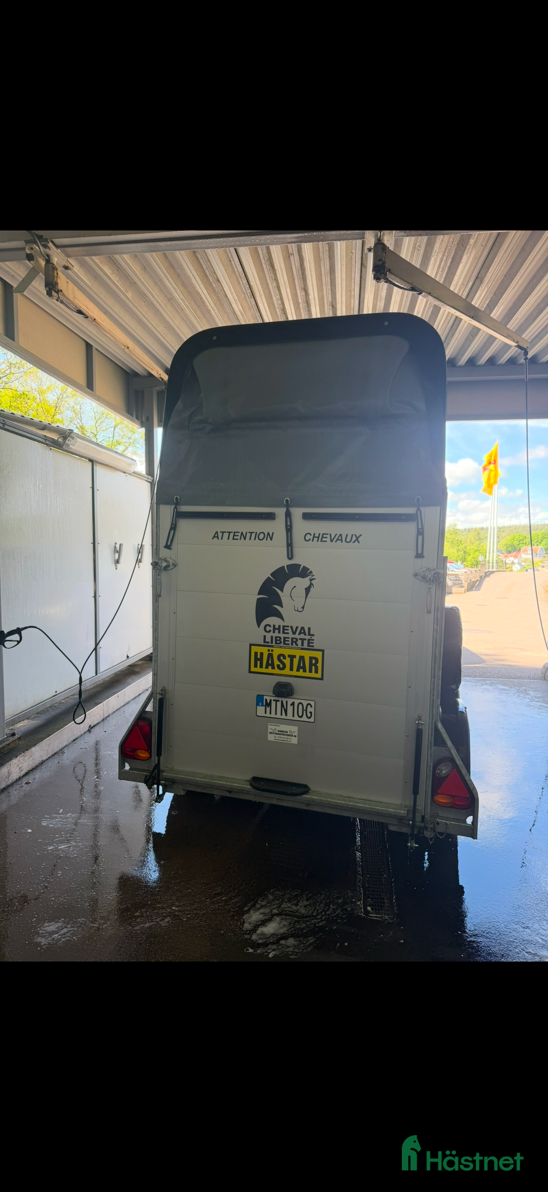 Hästtransporter  fordon & transport till salu: Cheval Liberte Pullman gold one i Gunnilse - Annons 3