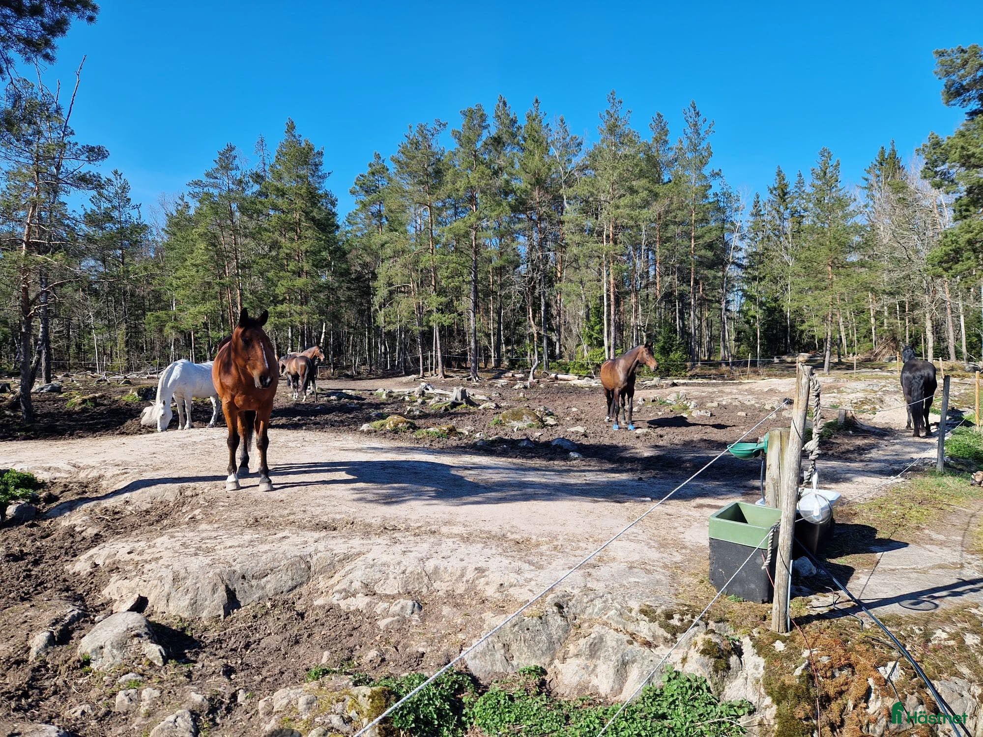  stallplats Stallplats i centrala Nacka, Saltsjö-Duvnäs - Annons 2