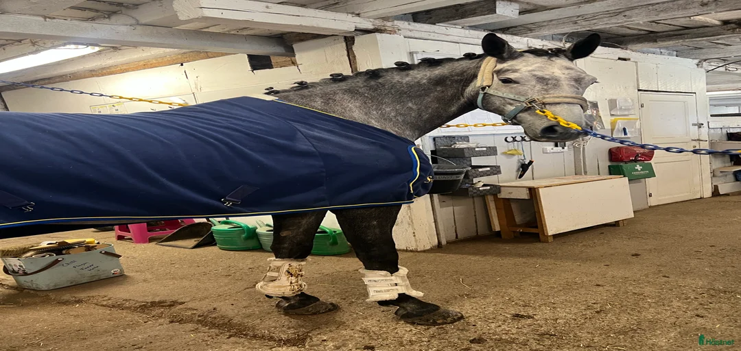 Galleribild {{count}}