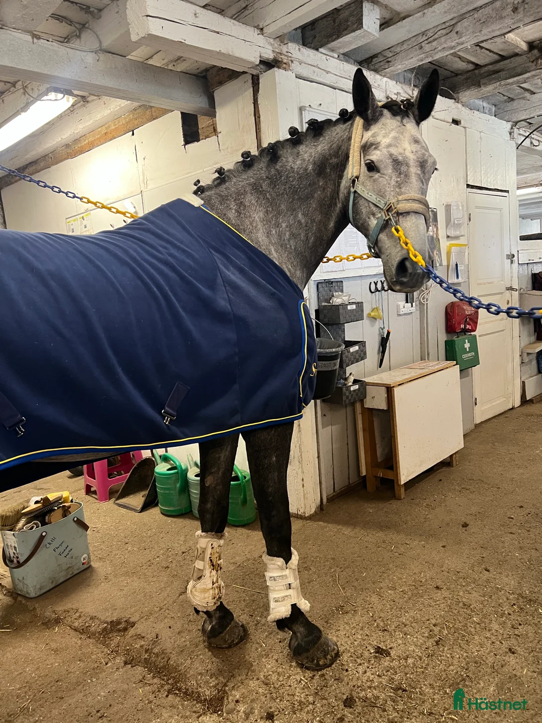 Galleribild {{count}}