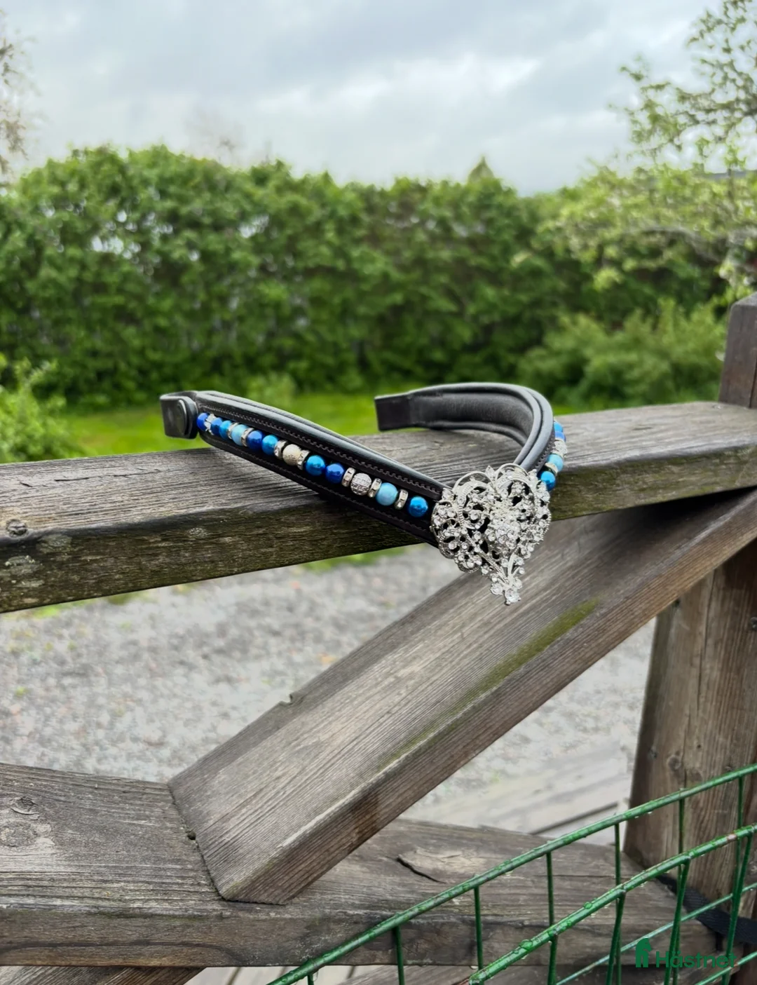 Träns hästutrustning till salu: Pannband Joyful i Uppsala - Annons 2