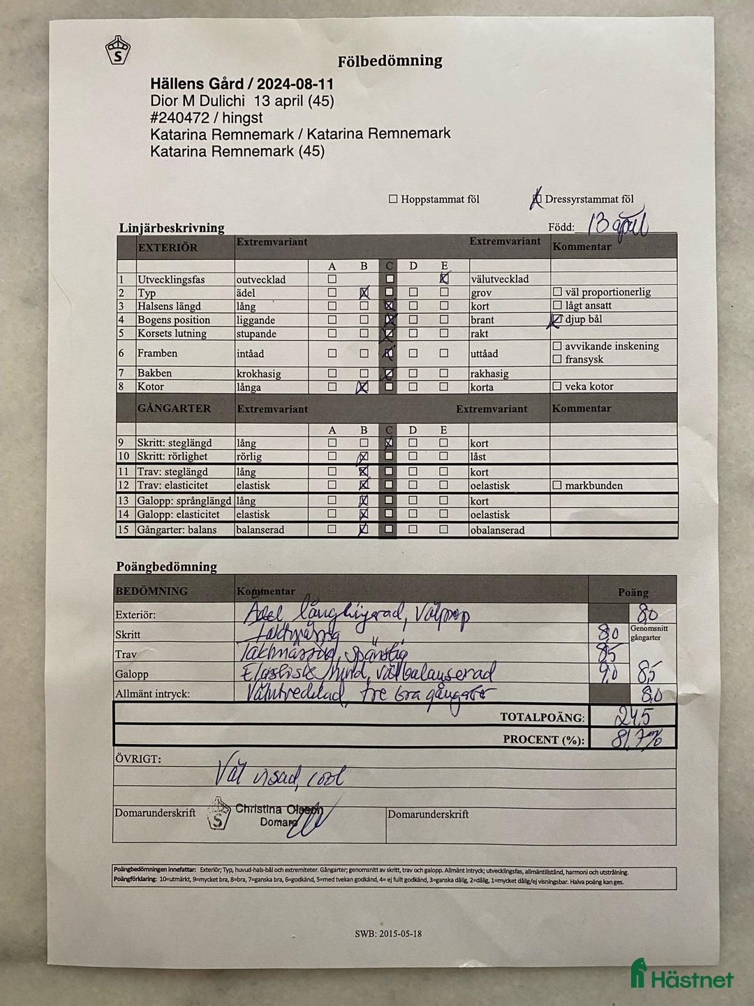 Dressyr hästar till salu: Fantastiskt framtidslöfte  i Kvänum - Annons 4