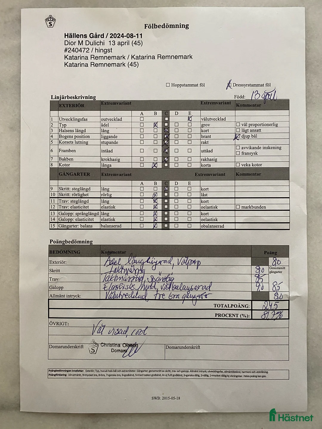 Dressyr hästar till salu: Fantastiskt framtidslöfte  - Annons 4