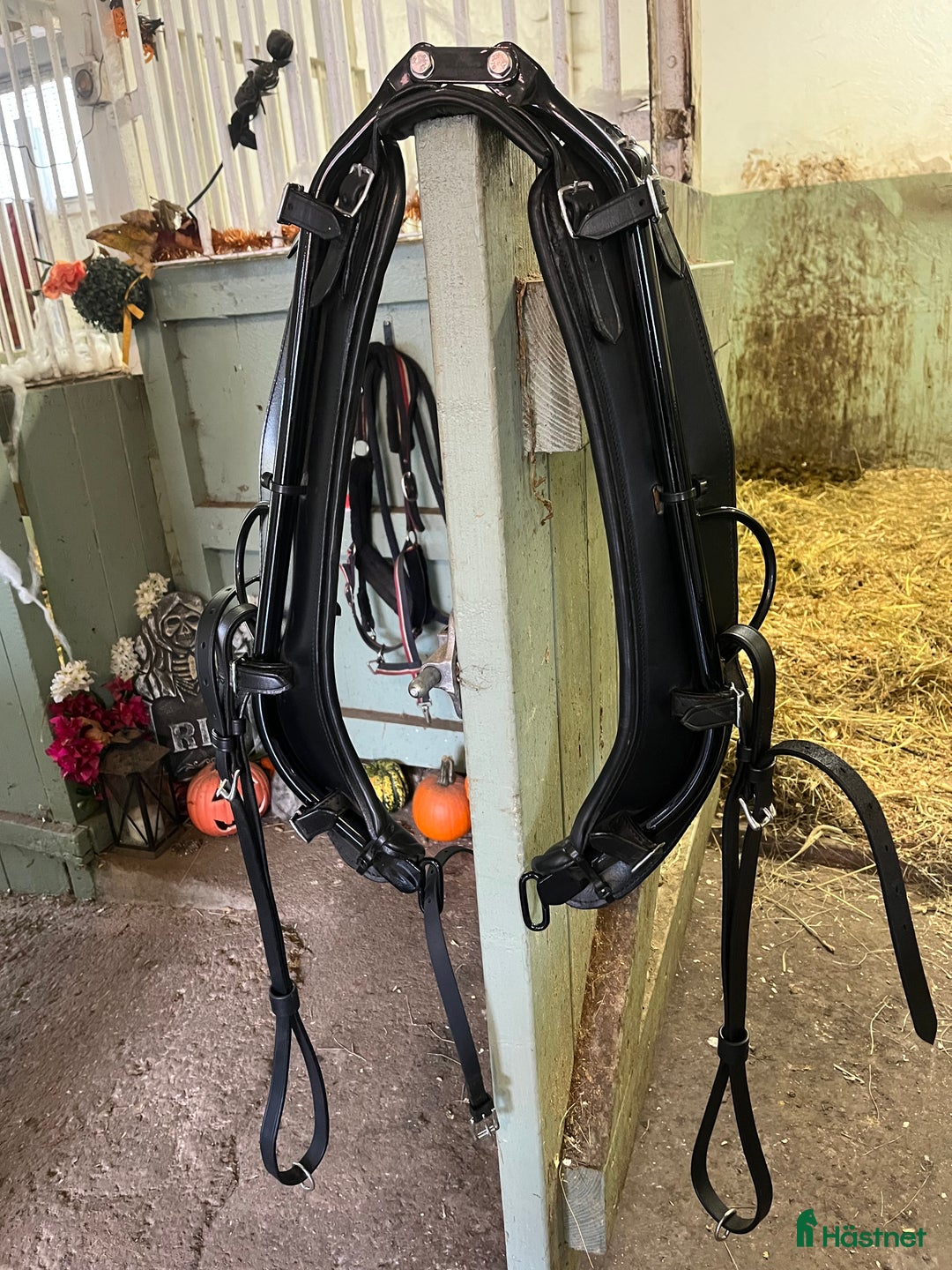 Övrig Travutrustning trav till salu: Graftströms anatomisk dragloke i Mörrum - Annons 5