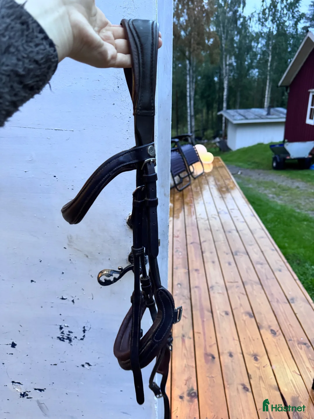 Träns hästutrustning till salu: Fint brunt träns - Annons 2