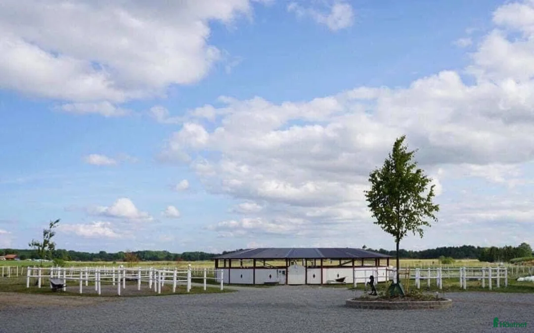  stallplats finnes: Fullservice stall Nova  i Märsta - Annons 1