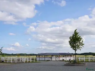 stallplats Fullservice stall Nova - Annons 4