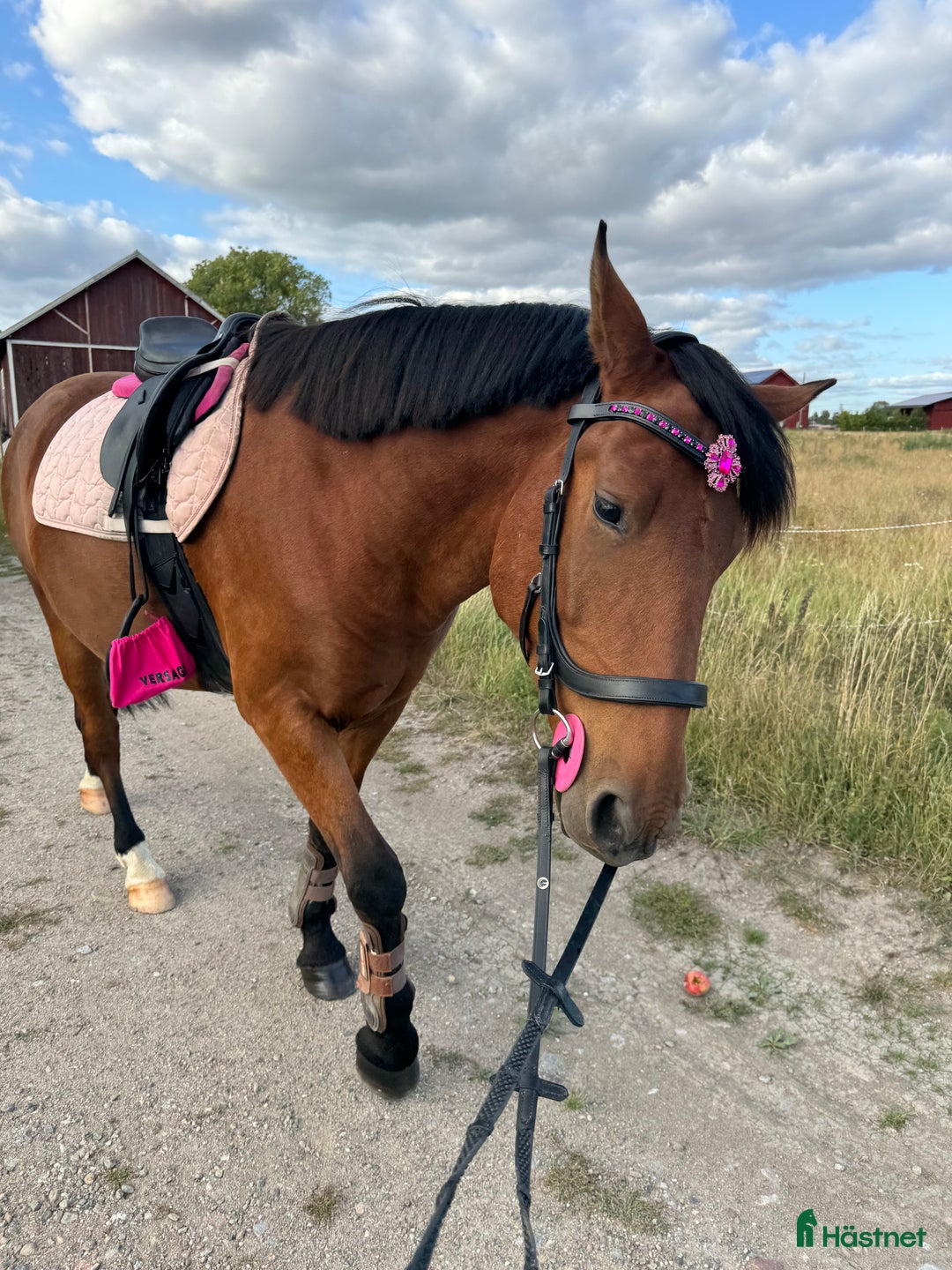 Sadlar hästutrustning till salu: Hopp sadel  i Bro - Annons 5