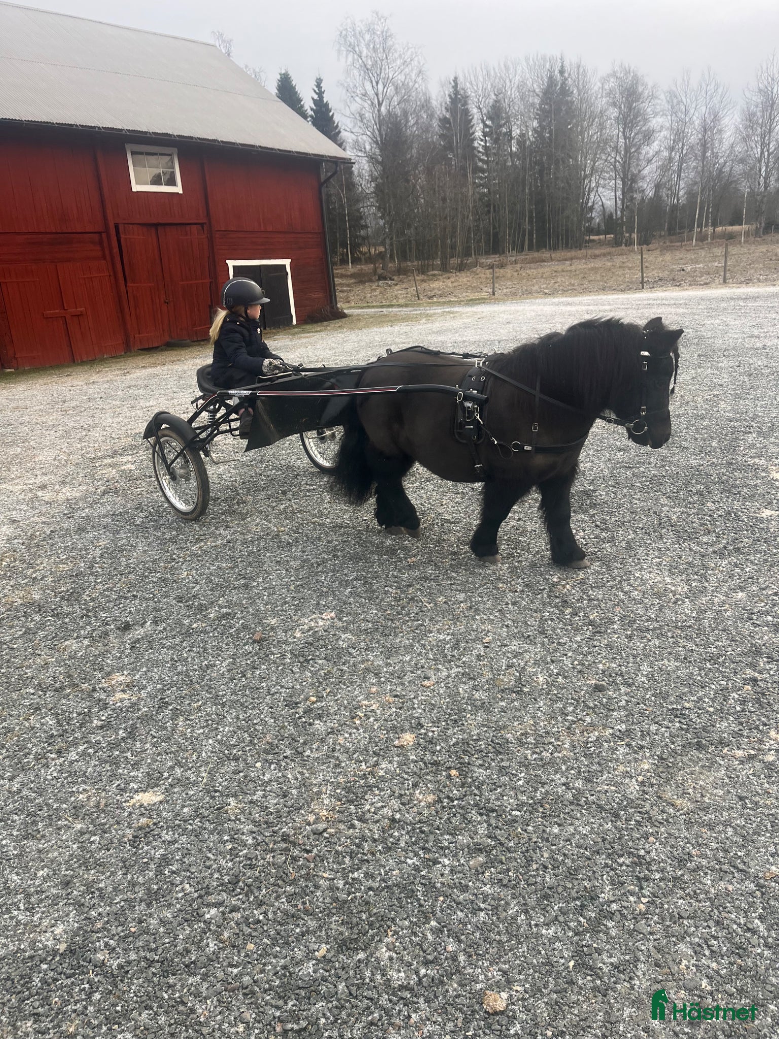 Travsulkys trav till salu: Speedcart ponny Grafström svart  - Annons 1