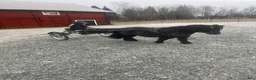 Travsulkys trav till salu: Speedcart ponny Grafström svart  - Annons 1