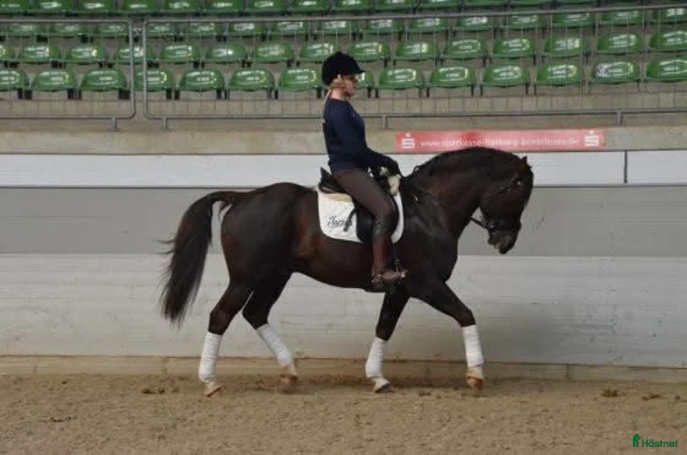 Galleribild {{count}}