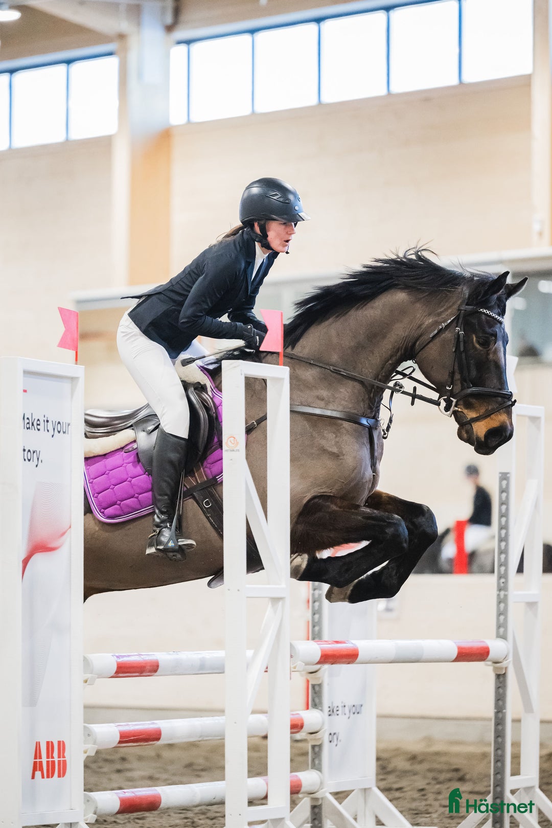 Allround hästar till salu: Charming söker ett nytt hem i Piteå - Annons 2