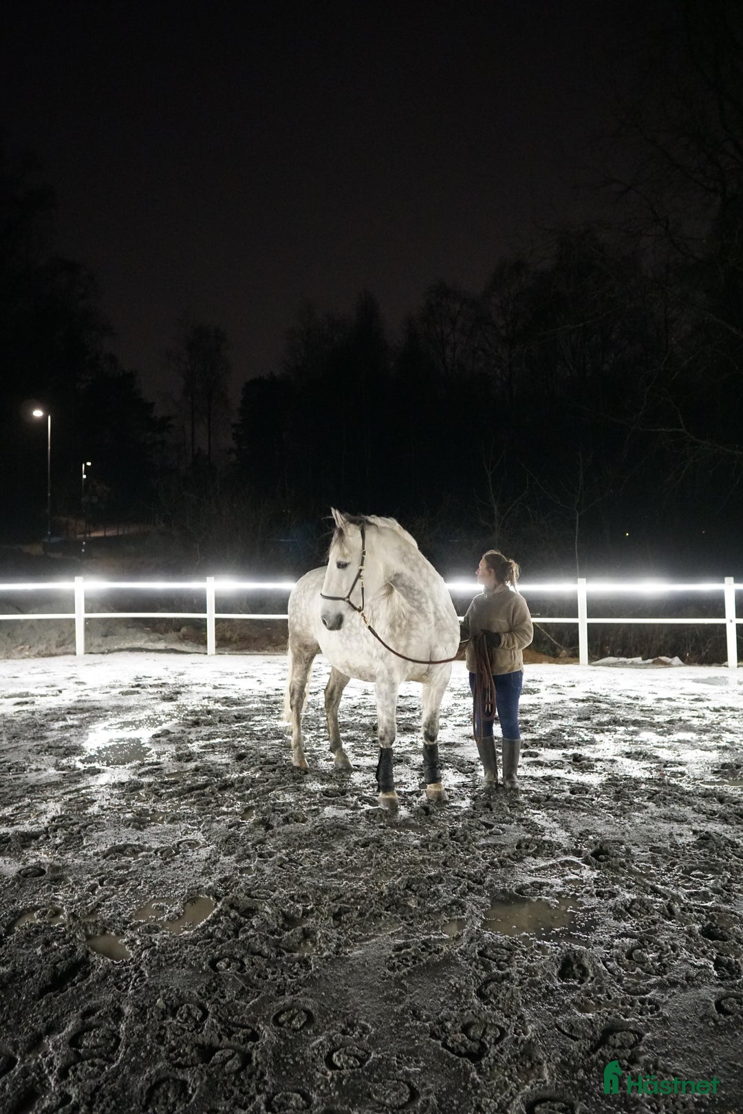  stallplats finnes: Ponnybox i centrala Göteborg  i Göteborg - Annons 11