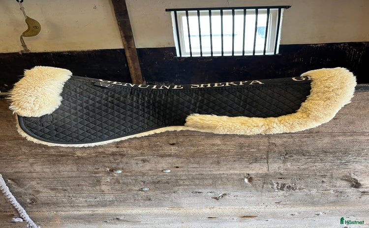 Sadeltillbehör hästutrustning till salu i Skövde - Annons 12
