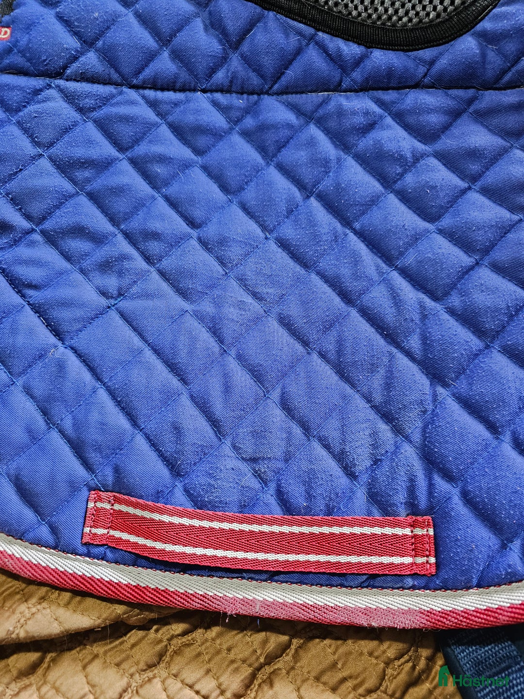 Schabrak & Vojlockar hästutrustning till salu: Catago vojlock i Söråker - Annons 11