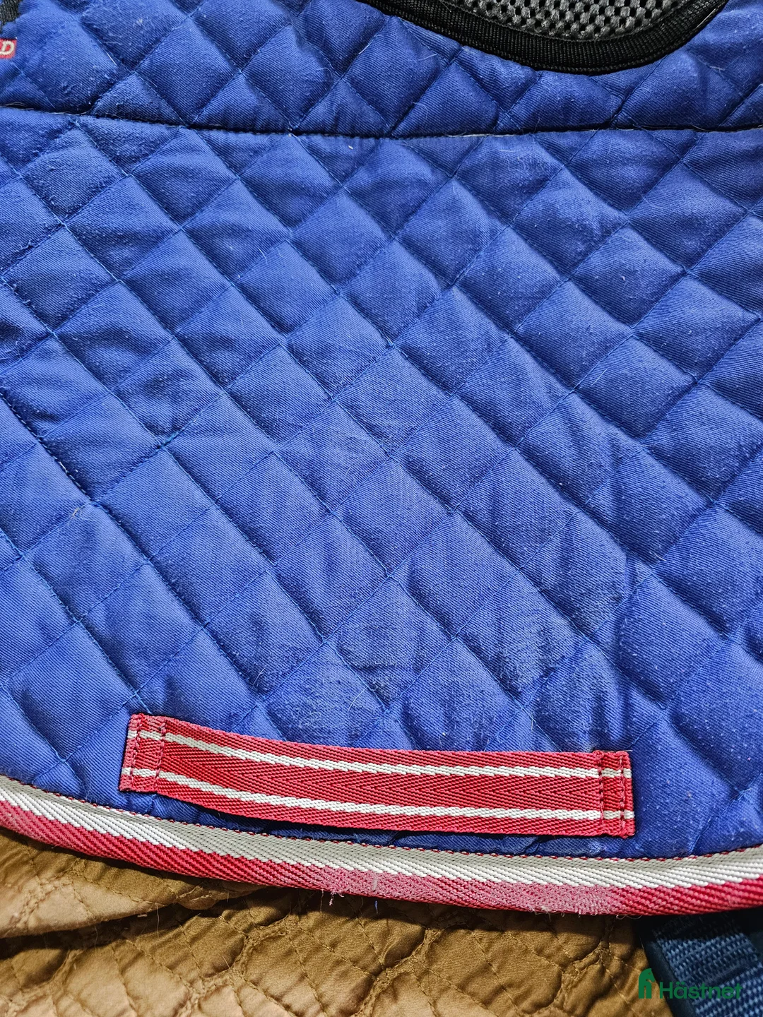 Schabrak & Vojlockar hästutrustning till salu: Catago vojlock i Söråker - Annons 11