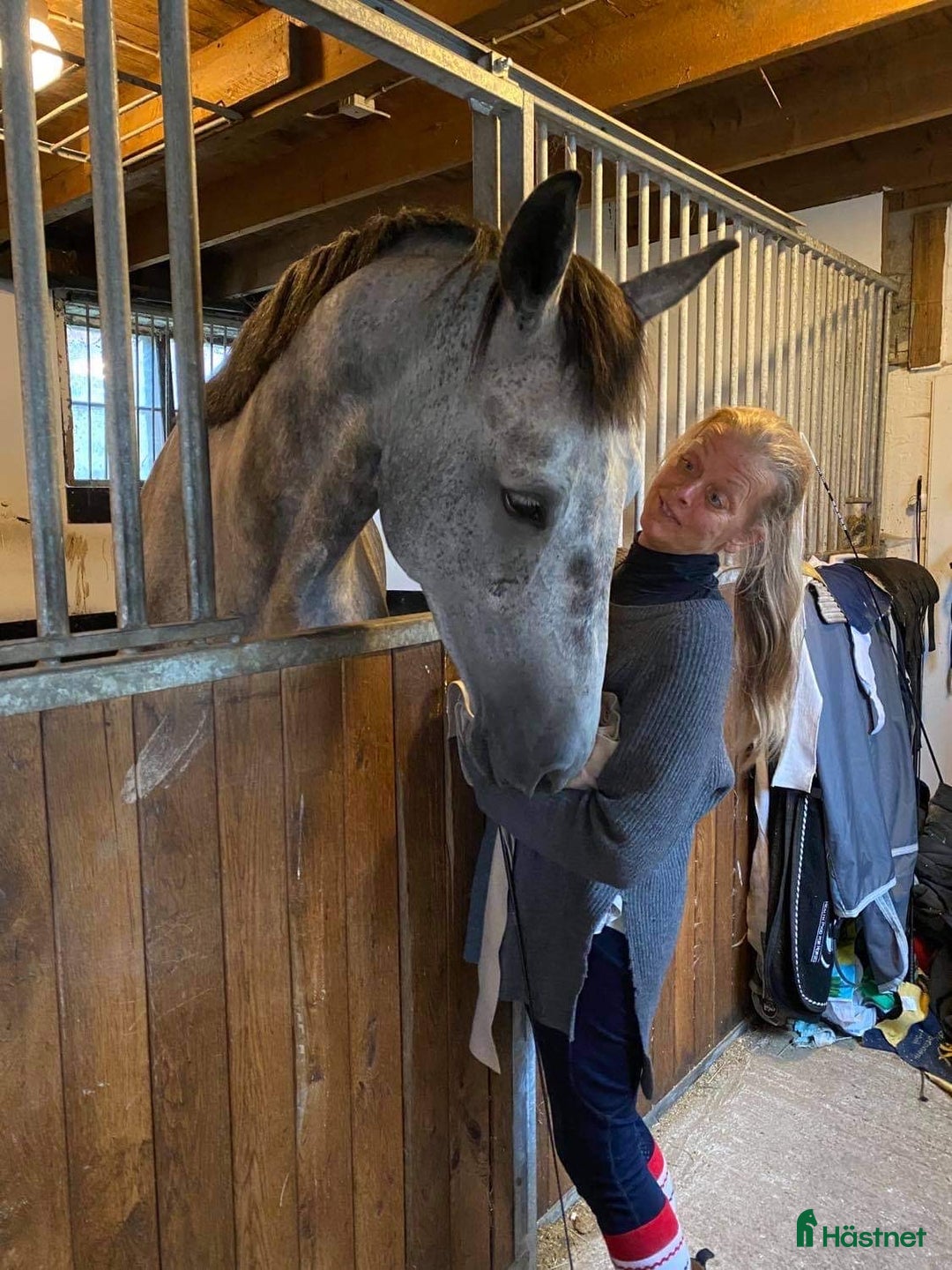  stallplats finnes: Behöver du stallplats på Ekerö?  i Skå - Annons 25