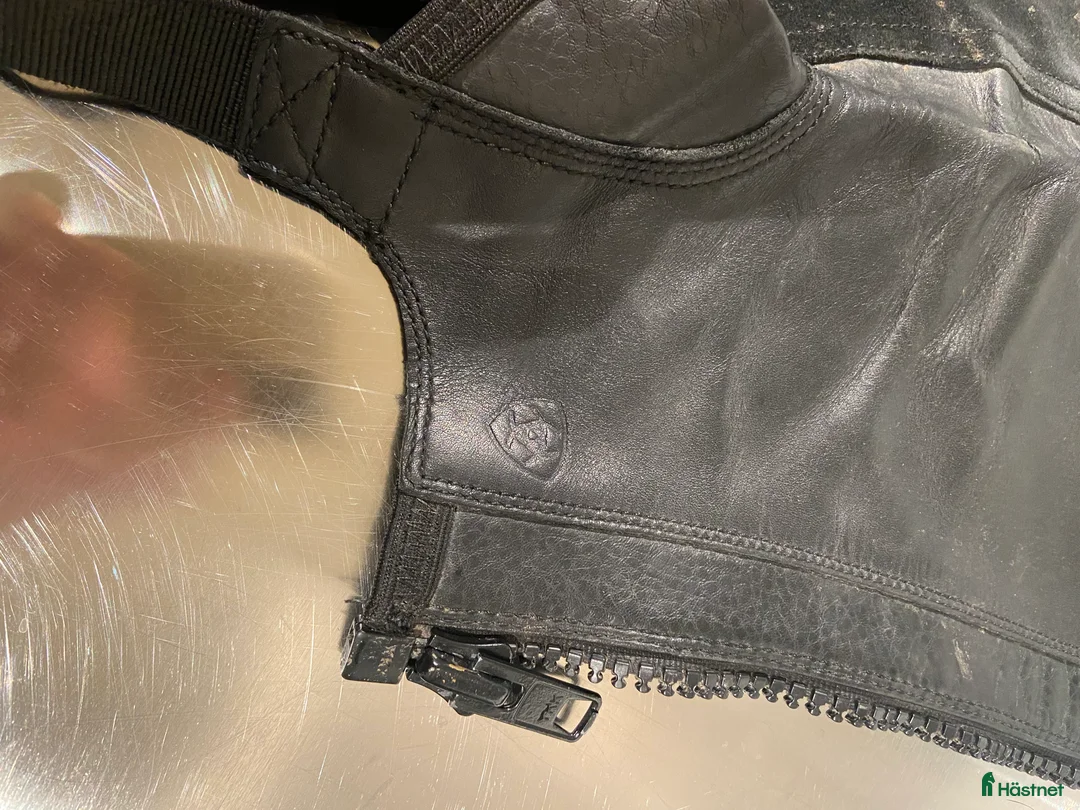 Övrig Ryttarutrustning ryttarutrustning till salu: Chaps  i Varberg - Annons 4