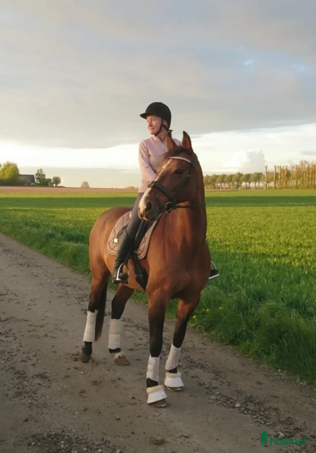  stallplats finnes: Vill hyra stall eller boxar/lösdrift  - Annons 1