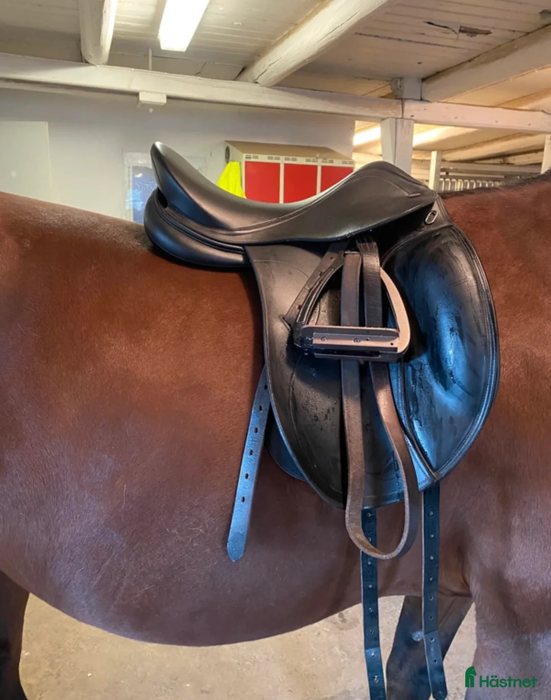 Sadlar hästutrustning till salu: DRESSYR SADEL i Tidaholm - Annons 5