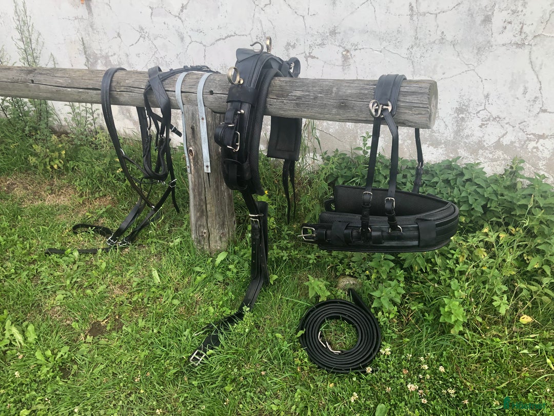 Körselar körning till salu: Fin Giggsele / Bröstsele i strl Full i Vallentuna - Annons 1