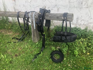 Körselar körning till salu: Fin Giggsele / Bröstsele i strl Full i Vallentuna - Annons 7