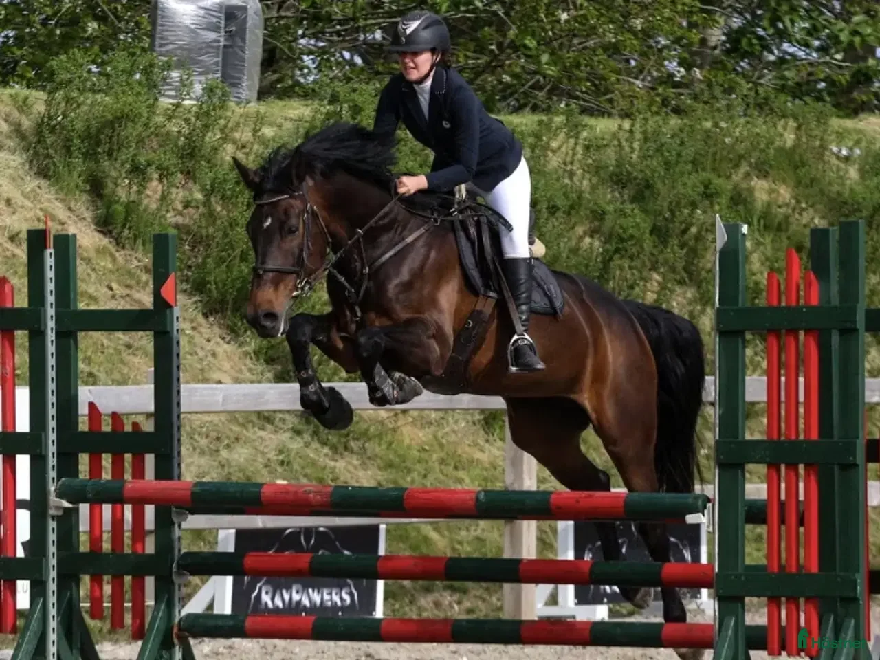  hästar Hoppe efter Ukato/Lupicor - Annons 20