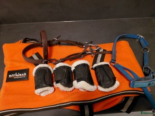 Övrig Hästutrustning hästutrustning till salu: Minishettis utrustning i Vargön - Annons 7