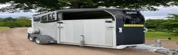 Hästtransporter  fordon & transport till salu: IforWilliams HBX403 - 2020 - Annons 3