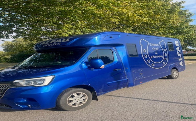 Hästlastbilar  fordon & transport till salu i Landskrona - Annons 8