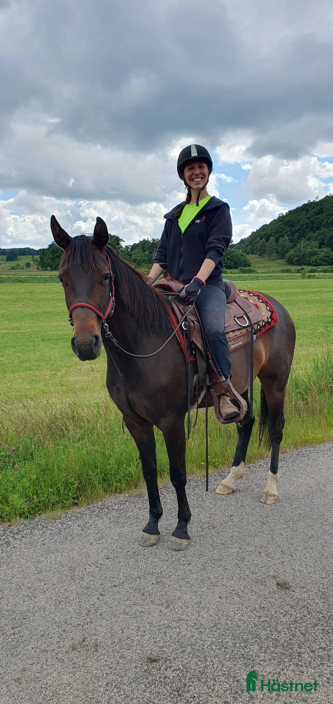 Allround hästar till salu: Hon blir vad du gör henne till i Kungsäter - Annons 4