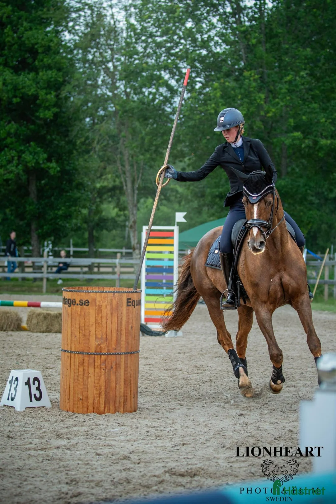  hästservice finnes: Tar emot häst för träning, tävling eller samarbete i Hallstahammar - Annons 3